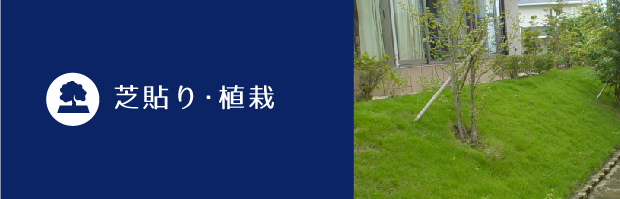 芝貼り・植栽