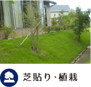 芝貼り・植栽